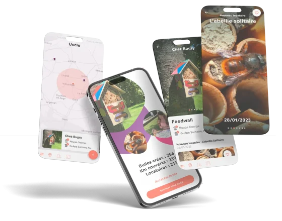 App BetterflyBox — dashboard mobile