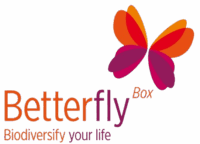 BetterflyBox Logo